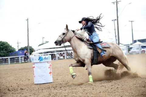 Araruama sediará a 1ª Copa Três Tambores com presença de 80 cavalos Quarto de Milha