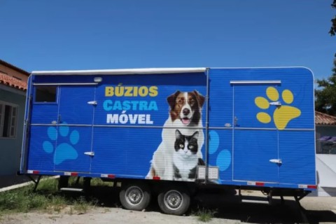 Secretaria de Proteção Animal de Búzios amplia atendimentos e anuncia novidades