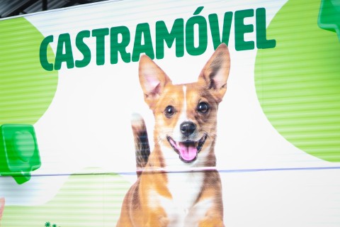 Clínica Animal amplia acesso à castração gratuita e já ultrapassa 400 cirurgias em dois meses em Iguaba Grande