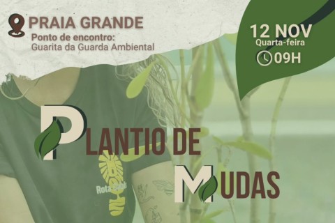 Arraial do Cabo realiza plantio de 150 mudas nativas na Praia Grande para reforçar ações ambientais