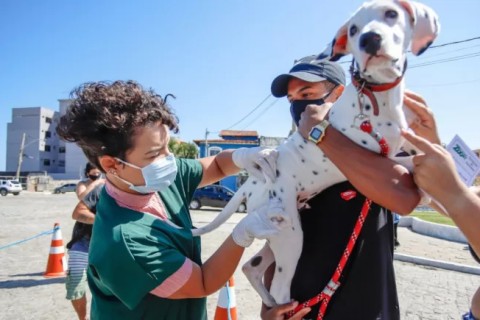 Saquarema realiza Dia D da Vacinação Antirrábica neste sábado (27)