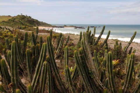 População pode participar da construção do Programa de Educação Ambiental em Rio das Ostras