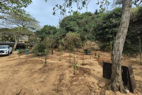 Prefeitura de Búzios promove ação de recuperação ambiental na Praia de João Fernandes