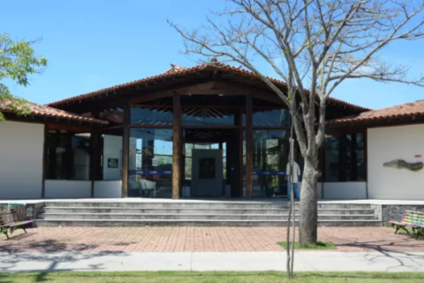 Escola de Artes Zanine oferece vagas gratuitas para cursos artísticos em Búzios