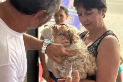 Cabo Frio inicia campanha de vacinação antirrábica neste sábado (19)