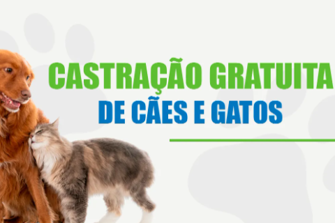 Inscrições para nova etapa de castração gratuita de cães e gatos começaram nesta quarta (07) no CRAS Porto da Aldeia
