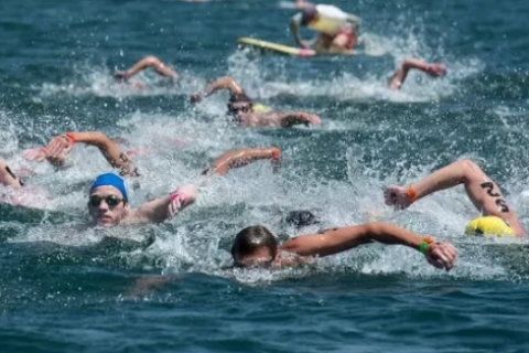Natação em águas abertas: II Desafio das Ilhas Búzios atrai atletas e turistas neste domingo (12)