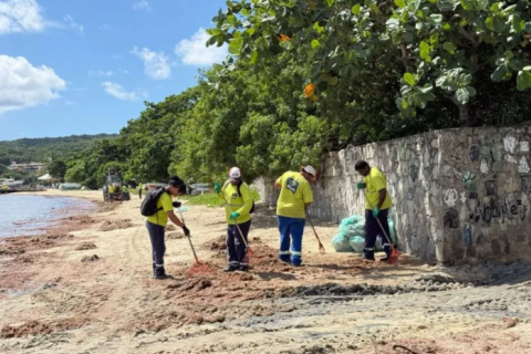 Prefeitura de Búzios realiza mutirão de limpeza de algas na Praia de Manguinhos