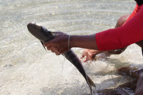 Dia Mundial da Água: Investimentos em saneamento impulsionam novo ciclo de desenvolvimento na região