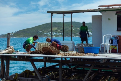 Armação dos Búzios recebe a 2ª edição do Festival da Pesca – Feira de projetos do Mar para celebrar as riquezas da comunidade pesqueira