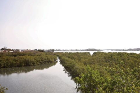 Projeto da Prefeitura de Cabo Frio é reconhecido pela ONU como Ação Oficial da Década dos Oceanos