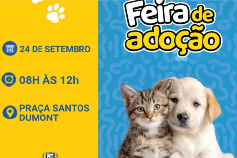Feira de Adoção acontece nesta quinta-feira na Praça Santos Dumont, em Búzios