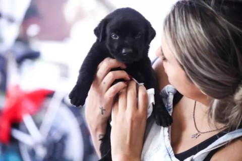 Cabo Frio promove feira de adoção de animais acontece neste sábado (6)