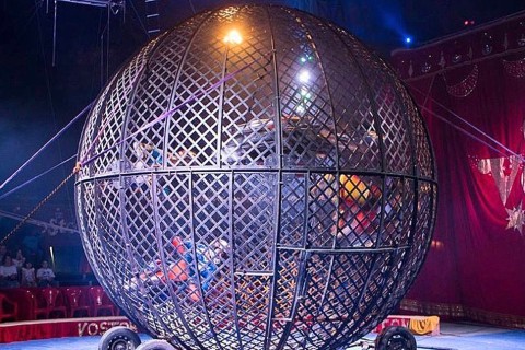 Passaporte Cultural: Prefeitura de Araruama abre inscrições para passeio gratuito ao Circo Vostok