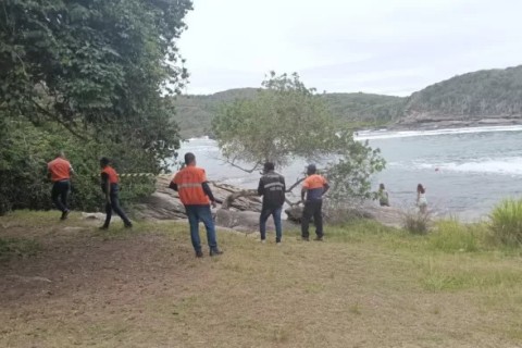 Prefeitura de Búzios promove ação de controle e remoção de vespas na Praia do Forno