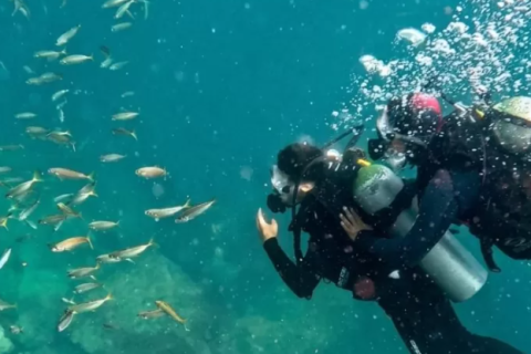 Arraial Diving Festival promove vocação cabista para mergulho