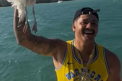 Influencer segura gaivota em passeio de barco em Cabo Frio e gera revolta nas redes