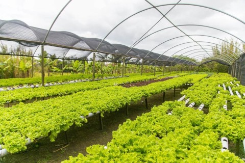 Produtores rurais de Cabo Frio terão palestras gratuitas sobre crédito rural