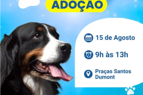 Prefeitura de Búzios realiza feira de adoção de animais na Praça da Ferradura neste sábado