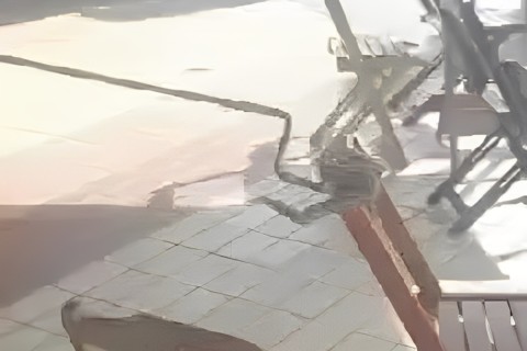 Filhote de jibóia é resgatado em quiosque na Praia das Conchas, em Cabo Frio
