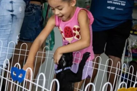 Cabo Frio promove nova edição da Feira de Adoção Animal neste sábado (28)