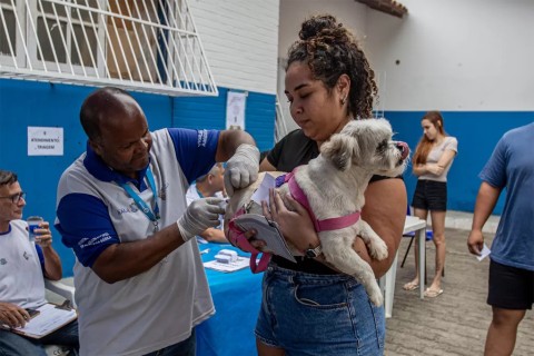 Macaé realiza Dia Municipal de Vacinação Antirrábica neste sábado (31)