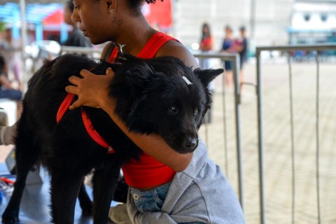 Castramóvel retorna a Cabo Frio nesta segunda-feira (31) para nova etapa de atendimentos