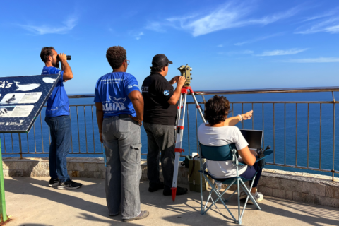 Projeto Mar de Baleias registra 960 avistamentos de baleias-jubarte em três meses de monitoramento em Arraial do Cabo